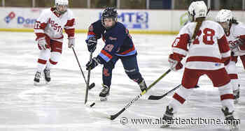 Tigers defeat Packers in Austin - Albert Lea Tribune - Albert Lea Tribune