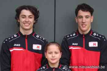 Gymnasten van Deugd en Moed meten zich met de beste turners in Azerbeidzjan