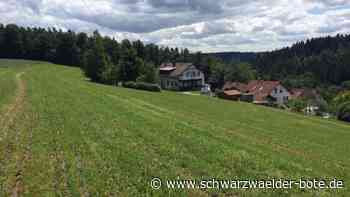 Baugebiet in Rötenbach: Beschleunigtes Verfahren startet erst 2023