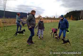 Bilzen opent nieuwe loopweide: 1.200 vierkante meter speelplezier voor honden