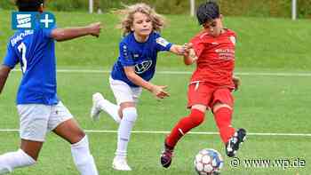 VfL Platte Heide: Darum fällt der Hönne-Cup dieses Jahr aus - Westfalenpost