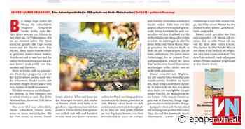 Liebeszauber im Advent. Eine Adventgeschichte in 25 Kapiteln von Heide Flatschacher (Teil 4/25 – gekürzte Fassung) - Vorarlberger Nachrichten | VN.AT