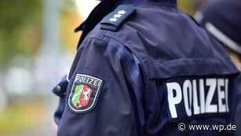 Einbrecher dringen in Meschede in Einfamilienhaus ein - Westfalenpost