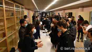 Bari, Angel company e Baker Hughes preparano l'Academy dei neolaureati: "Ecco il nostro vivaio" - La Repubblica