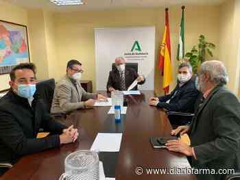 Acuerdo para actualizar la guía farmacoterapéutica de referencia en Andalucía - Diariofarma