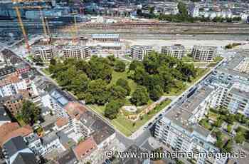 Warum der Glückstein-Park in Mannheim Lindenhof den rennomierten Stadtraum-Preis erhält - Mannheim: Lindenhof - Nachrichten und Informationen - Mannheimer Morgen