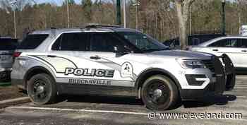 Aurora driver successfully avoids deer, but not jail: Brecksville Police Blotter - cleveland.com