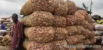 Nigeria's food inflation: losers, winners and a possible solution - The Conversation US