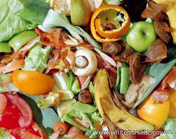 Councils reveal the food wasted in Southern Oxfordshire last Christmas and urge residents to change their ways - Vale of White Horse District Council