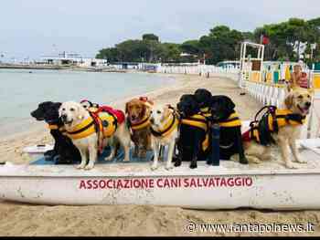 L'evento: Apre il nuovo centro di addestramento cani salvataggio di Crotone - Fantapol News
