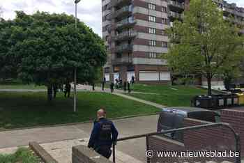 Politie deelt zware klap uit aan drugsmilieu: wapens, bijna 10 kilo drugs en 180.000 euro in beslag genomen