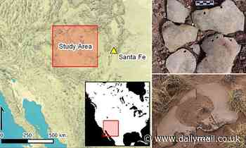 Native Americans THRIVED after creating larger groups following the climate catastrophe in 536AD