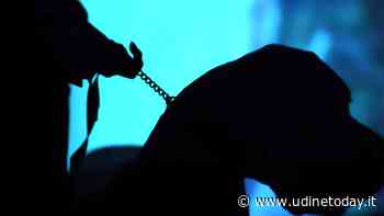 Gli animali nell'opera di Dante, se ne parla in un incontro a Udine - Udine Today