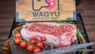 Japón presentará la carne más cara del mundo en Cancún | Cancun Mio - Cancún Mio