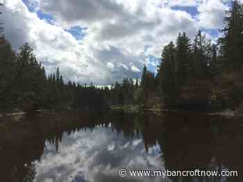 Water Restored to Mew Lake Campground