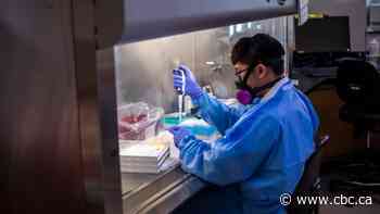 Manitoba will no longer provide data on coronavirus variants as 98% of cases are now delta - CBC.ca