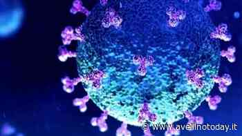 Coronavirus a Solofra, il sindaco annuncia due nuove positività - AvellinoToday