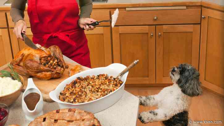 What Thanksgiving foods are safe for your dog/cat to eat?