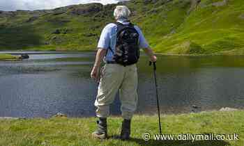 Alzheimer's: Daily power walks could help stave off the onset of disease, study claims