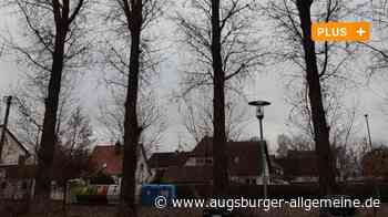 Vier Pappeln am Weberei-Gelände in Senden sollen gefällt werden - Augsburger Allgemeine