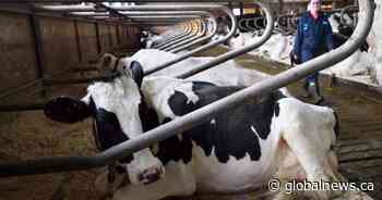 USask and Olds College sign agriculture and livestock research MOU