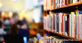 Schools Reinstate Pornographic Books in the Name of 'Diversity'