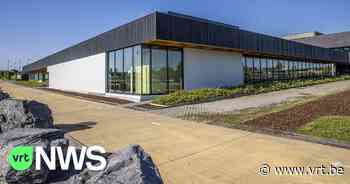 Zwembad Ronse wordt hersteld: "Tegen paasvakantie gaan we hopelijk weer open" - VRT NWS