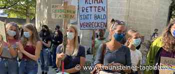 Fridays for Future Traunstein demonstriert online - Traunsteiner Tagblatt