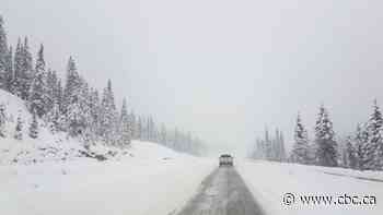 Environment Canada discourages non-essential travel in Banff, Jasper due to snowstorm