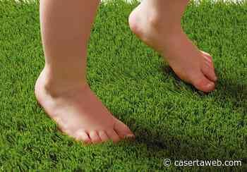 Il prato sintetico, una scelta ecologica, economica e responsabile | - CasertaWeb