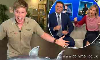 Today: Karl Stefanovic and Ally Langdon surprise Robert Irwin with shark cake for his 18th birthday - Daily Mail