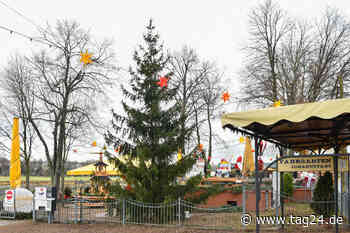 Dresden: XXL-Pyramide und Märchenwald - Am Fährgarten gibt's Glühwein - TAG24