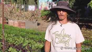 West Sacramento Indigenous gardener teaches food sovereignty and sustainable growing - ABC10.com KXTV