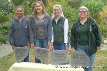 Milestone: Master Gardener quartet earn golden trowel honors - Sequim Gazette