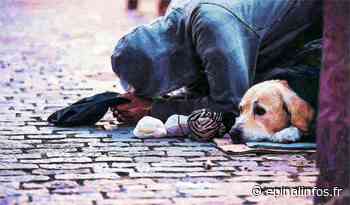 Le Secours catholique alerte : la pauvreté augmente dans les Vosges - Epinal infos - Epinal Infos