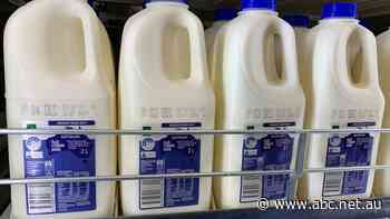 Woolworths lifts homebrand milk price, dairy farmers hope others will follow