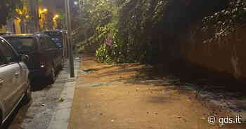 Catania, pista ciclabile del centro, è rebus sulla riqualificazione - Quotidiano di Sicilia