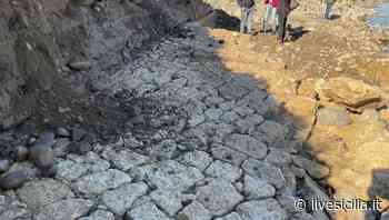 Catania, il passato riemerge dopo la piena del Simeto - Live Sicilia