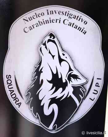 Catania, sui tetti per evitare la cattura: arrestato - Live Sicilia