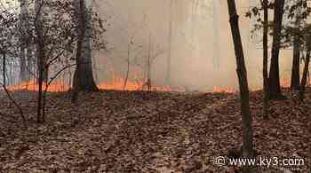 A string of intentional forest fires are under investigation in Doolittle, Mo. - KY3