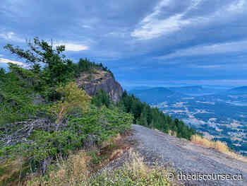 What makes North Cowichan's municipal forest so special? - The Discourse.