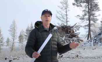 BC community forest recovers burned fibre and reduces wildfire risk - Wood Business - Canadian Forest Industries