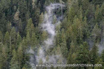 Burns Lake Community forest request approval - Burns Lake Lakes District News