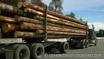 Feds move ahead with plan to block Alaska forest logging - constructconnect.com - Daily Commercial News