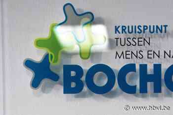 Coördinator damesvoetbal gezocht - Het Belang van Limburg