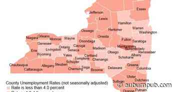 Cayuga County jobless rate lower, along with the number of job seekers - The Citizen