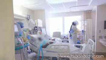 Feds send 2 medical teams to support Michigan hospitals during COVID surge - WDIV ClickOnDetroit
