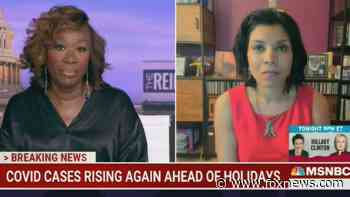 MSNBC medical contributor: If you don't have the booster, you can't safely be around others - Fox News