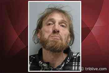 Medical examiner: Man pulled from river in Plum Sept. 1 drowned accidentally - TribLIVE
