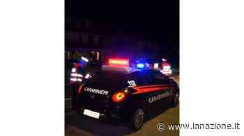 Africa, schiamazzi e vandalismi all’alba - La Nazione